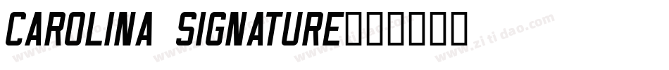 Carolina Signature字体转换